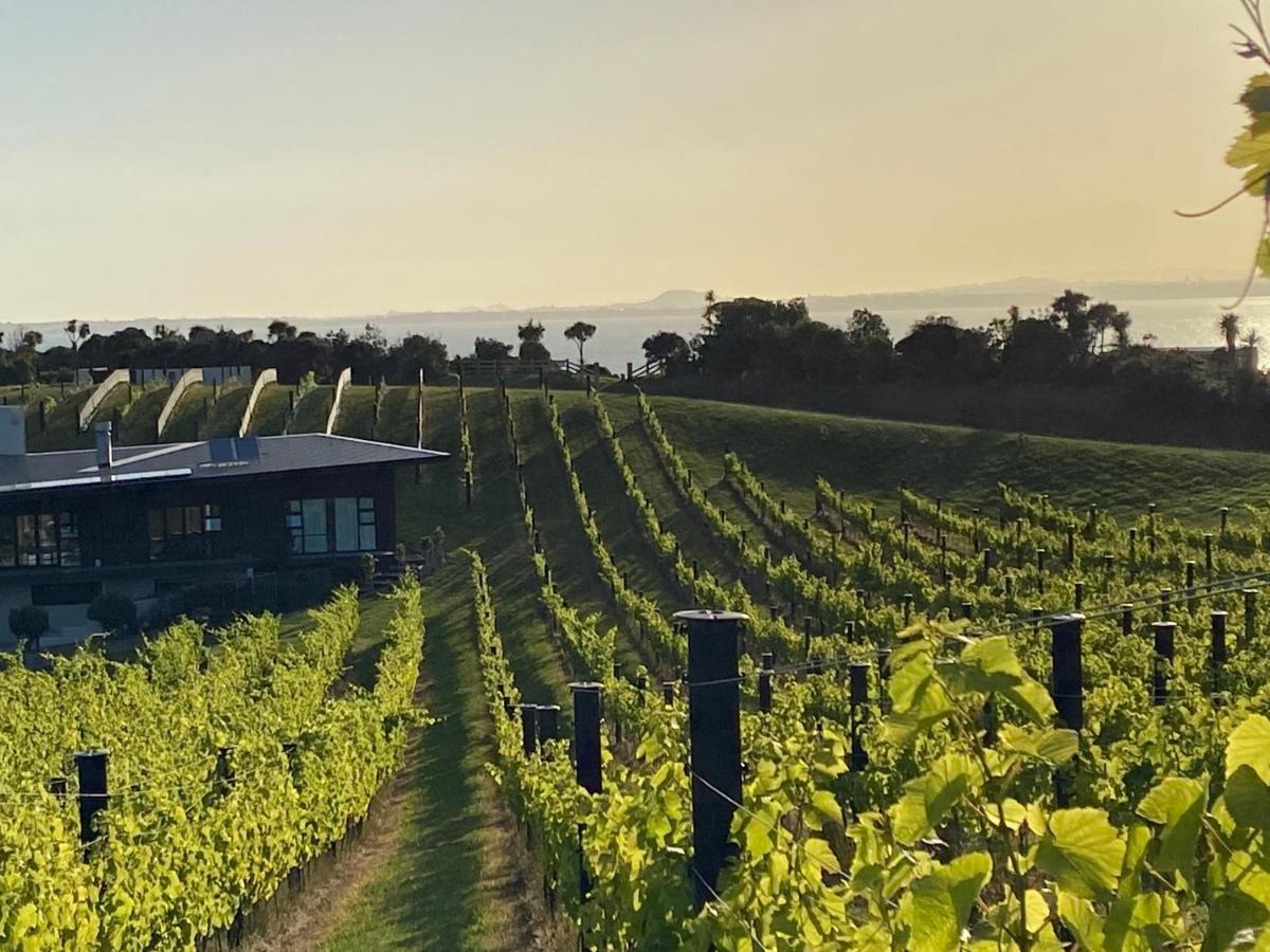 La Bodega Waiheke Island Hotel Surfdale Екстериор снимка